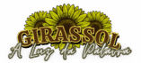 Girassol: A Luz da Palavra